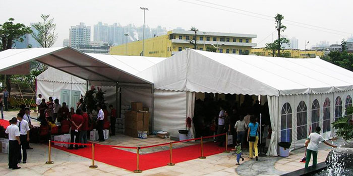 案例展示演示数据